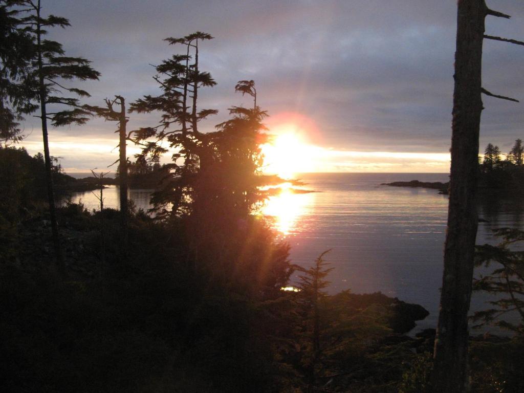 Reef Point Oceanfront Bed And Breakfast Ucluelet Cameră foto