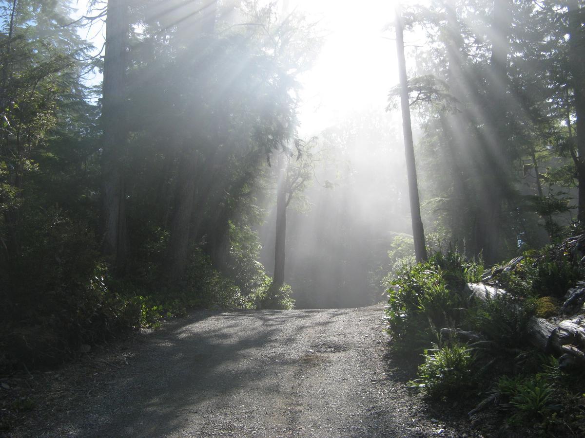 Reef Point Oceanfront Bed And Breakfast Ucluelet Exterior foto